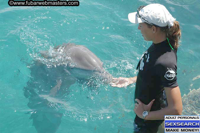 Local Billing Dolphin Encounter and Swim 2005