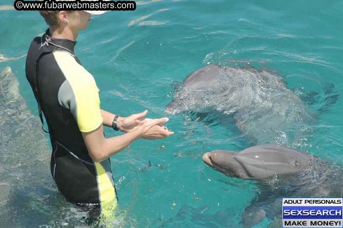 Local Billing Dolphin Encounter and Swim 2005