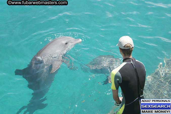 Local Billing Dolphin Encounter and Swim 2005