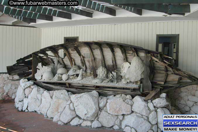 Local Billing Dolphin Encounter and Swim 2005