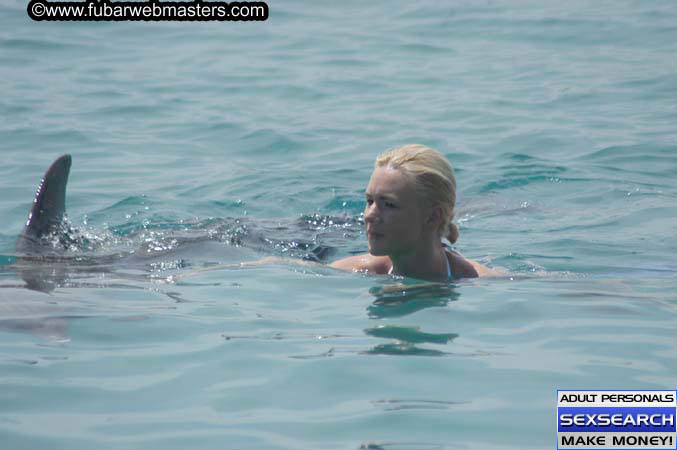 Local Billing Dolphin Encounter and Swim 2005
