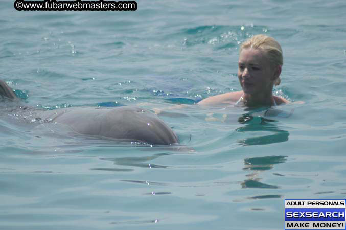 Local Billing Dolphin Encounter and Swim 2005