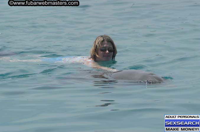 Local Billing Dolphin Encounter and Swim 2005