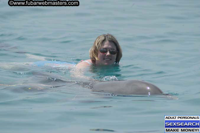 Local Billing Dolphin Encounter and Swim 2005