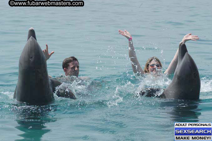 Local Billing Dolphin Encounter and Swim 2005