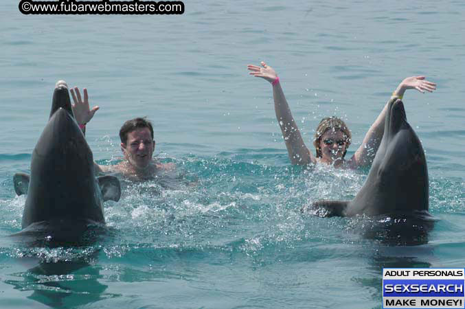 Local Billing Dolphin Encounter and Swim 2005