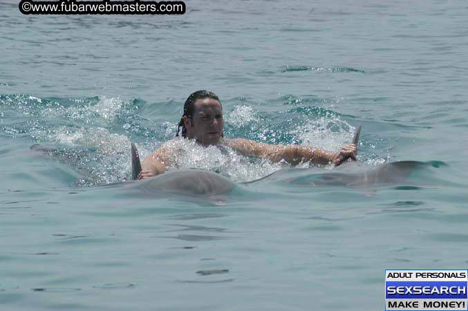 Local Billing Dolphin Encounter and Swim 2005