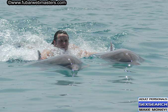 Local Billing Dolphin Encounter and Swim 2005