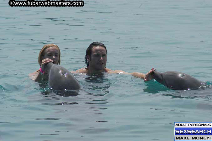 Local Billing Dolphin Encounter and Swim 2005