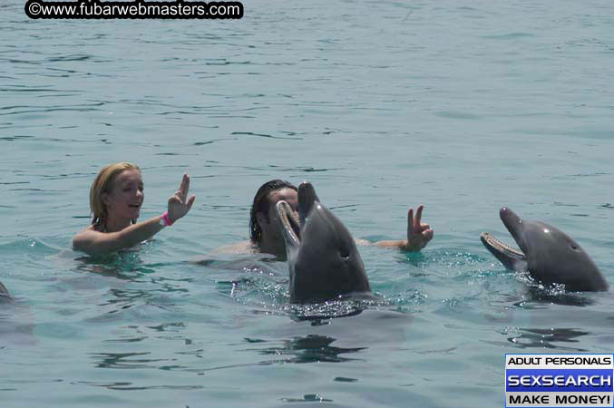 Local Billing Dolphin Encounter and Swim 2005
