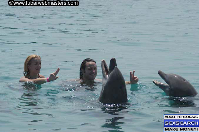 Local Billing Dolphin Encounter and Swim 2005