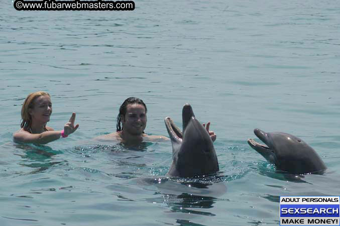 Local Billing Dolphin Encounter and Swim 2005