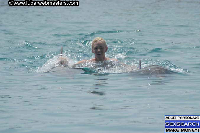 Local Billing Dolphin Encounter and Swim 2005