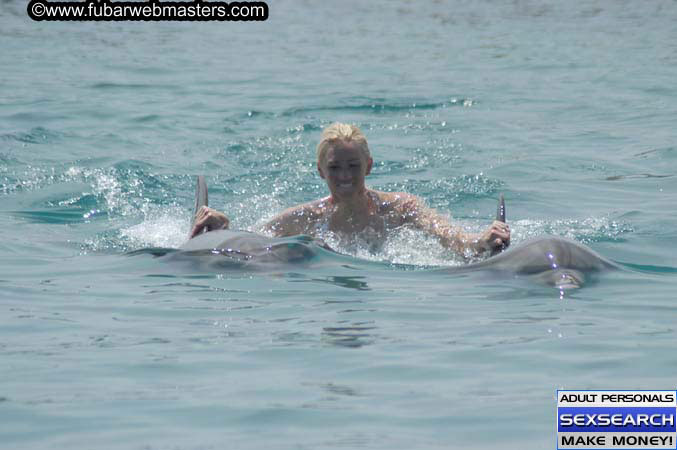 Local Billing Dolphin Encounter and Swim 2005