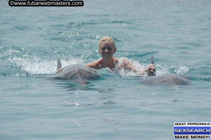 Local Billing Dolphin Encounter and Swim 2005