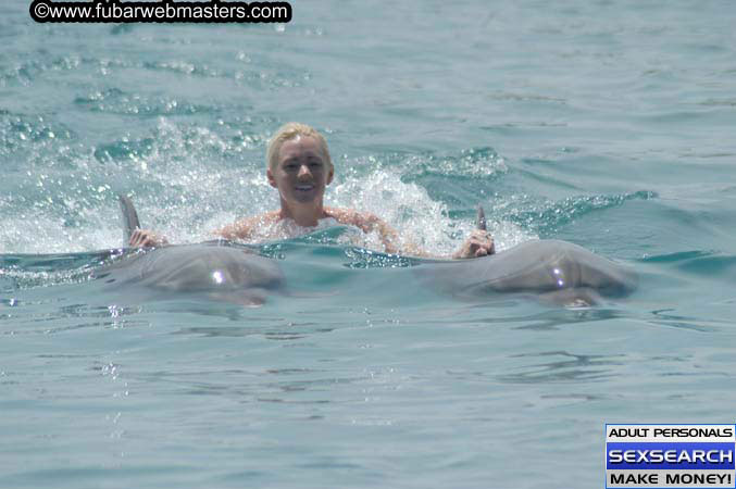 Local Billing Dolphin Encounter and Swim 2005
