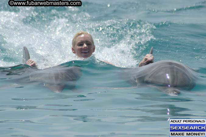 Local Billing Dolphin Encounter and Swim 2005