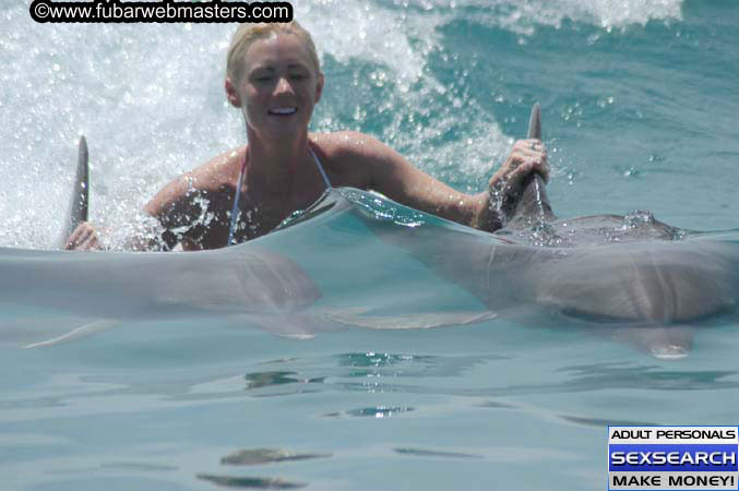 Local Billing Dolphin Encounter and Swim 2005