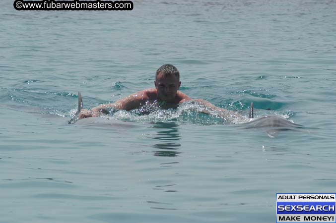 Local Billing Dolphin Encounter and Swim 2005