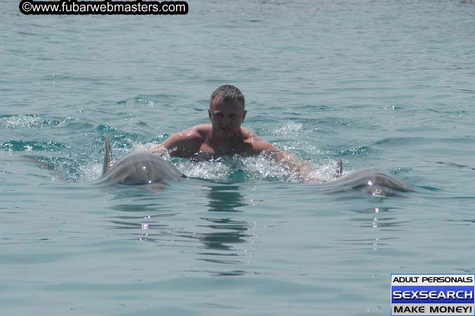 Local Billing Dolphin Encounter and Swim 2005