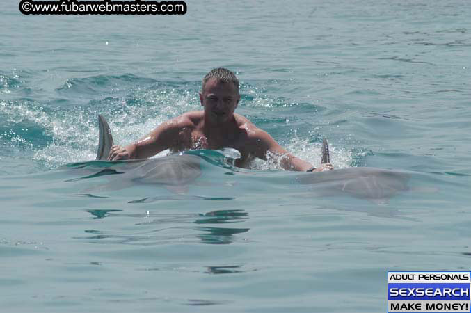 Local Billing Dolphin Encounter and Swim 2005
