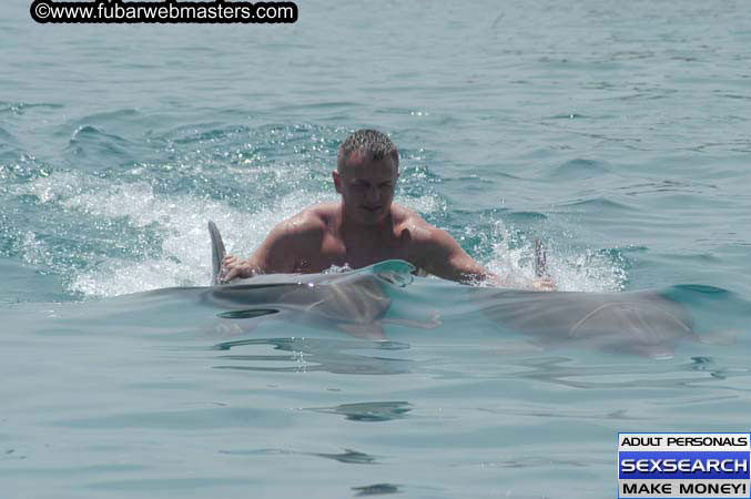 Local Billing Dolphin Encounter and Swim 2005