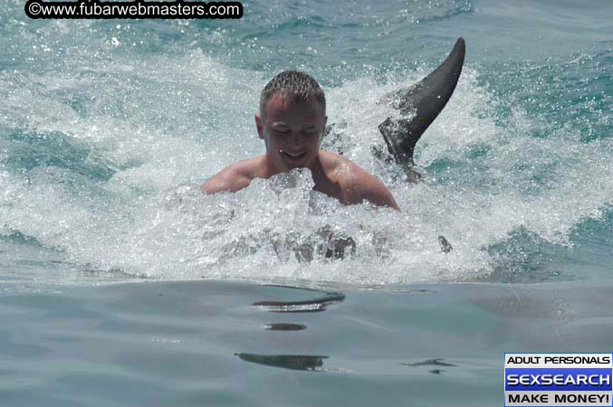Local Billing Dolphin Encounter and Swim 2005