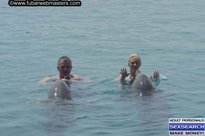 Local Billing Dolphin Encounter and Swim 2005