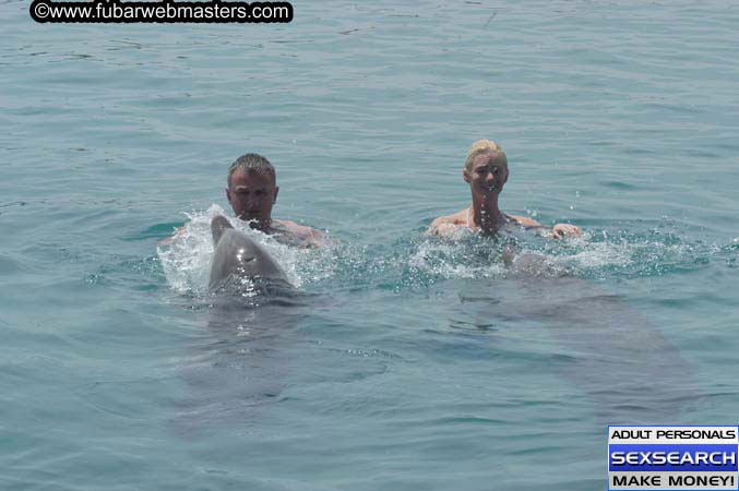 Local Billing Dolphin Encounter and Swim 2005