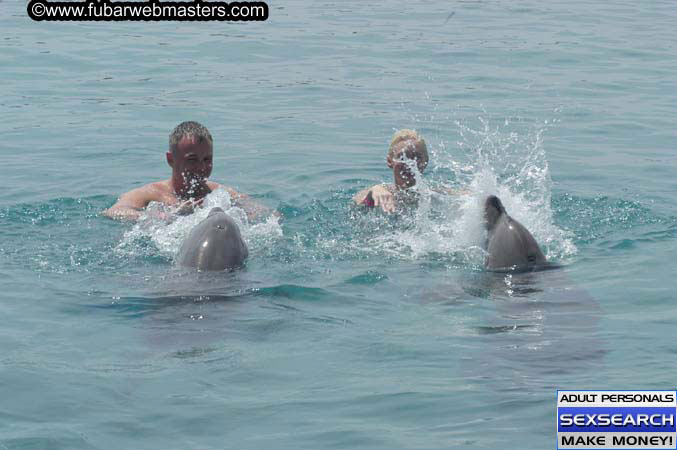 Local Billing Dolphin Encounter and Swim 2005
