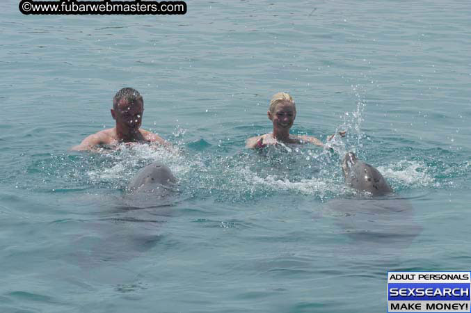 Local Billing Dolphin Encounter and Swim 2005