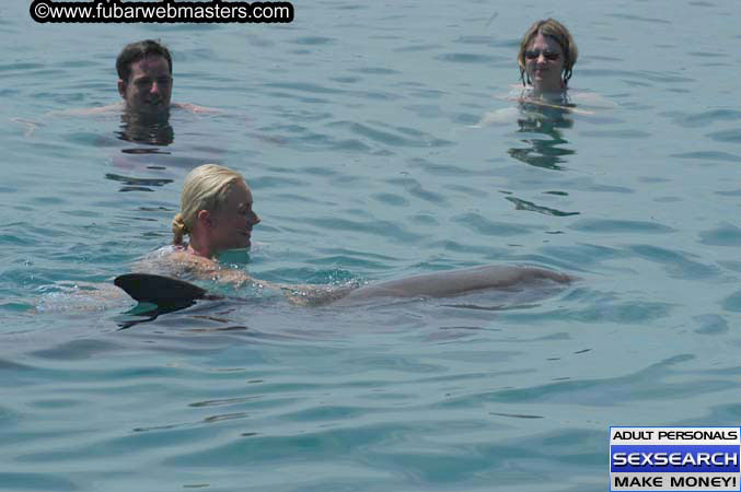 Local Billing Dolphin Encounter and Swim 2005