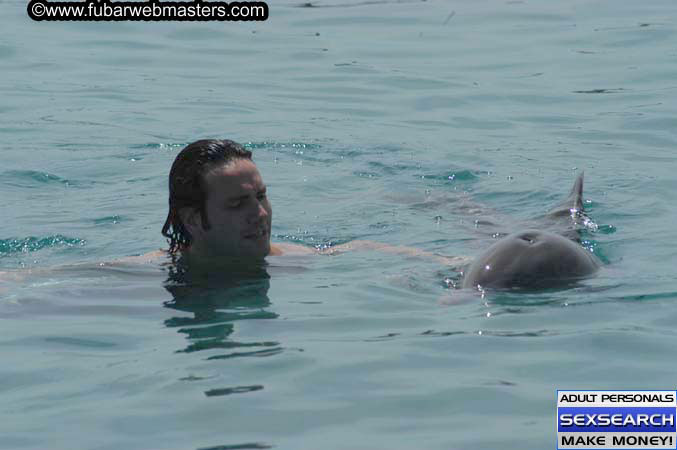 Local Billing Dolphin Encounter and Swim 2005