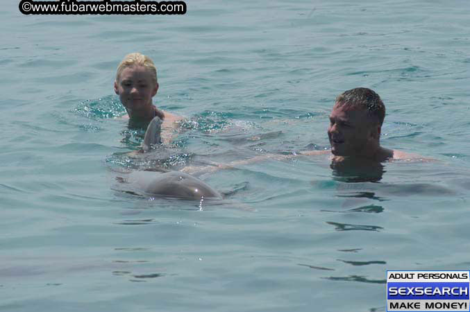Local Billing Dolphin Encounter and Swim 2005