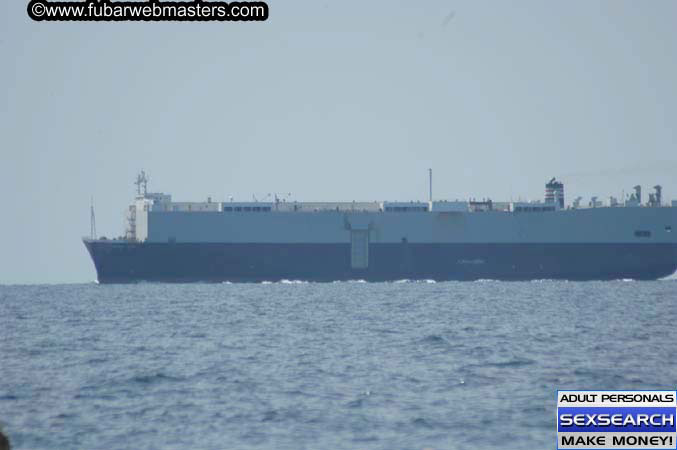 Local Billing Dolphin Encounter and Swim 2005