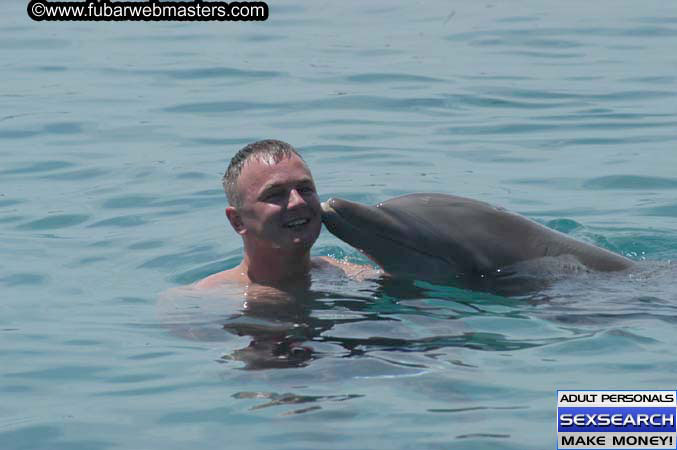 Local Billing Dolphin Encounter and Swim 2005