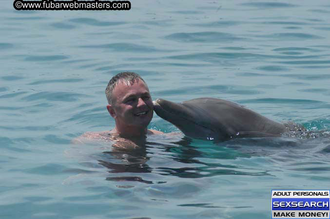Local Billing Dolphin Encounter and Swim 2005