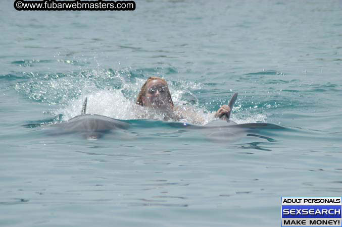 Local Billing Dolphin Encounter and Swim 2005