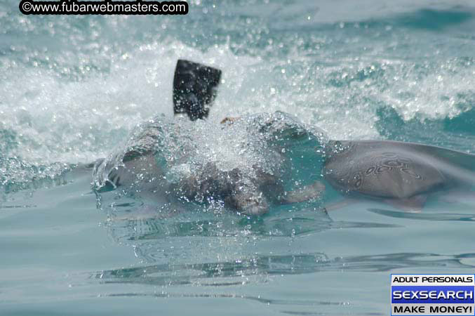 Local Billing Dolphin Encounter and Swim 2005