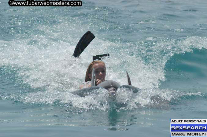 Local Billing Dolphin Encounter and Swim 2005
