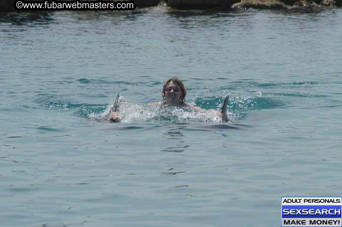 Local Billing Dolphin Encounter and Swim 2005
