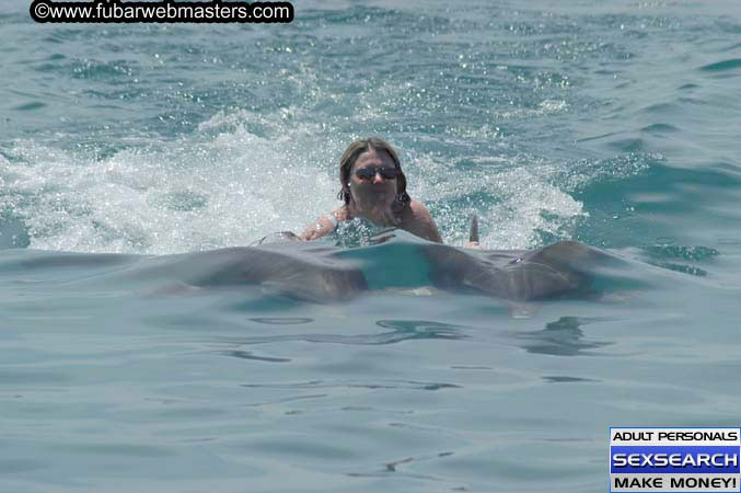 Local Billing Dolphin Encounter and Swim 2005