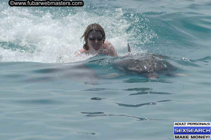 Local Billing Dolphin Encounter and Swim 2005