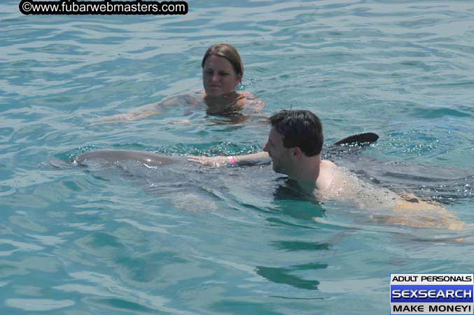 Local Billing Dolphin Encounter and Swim 2005