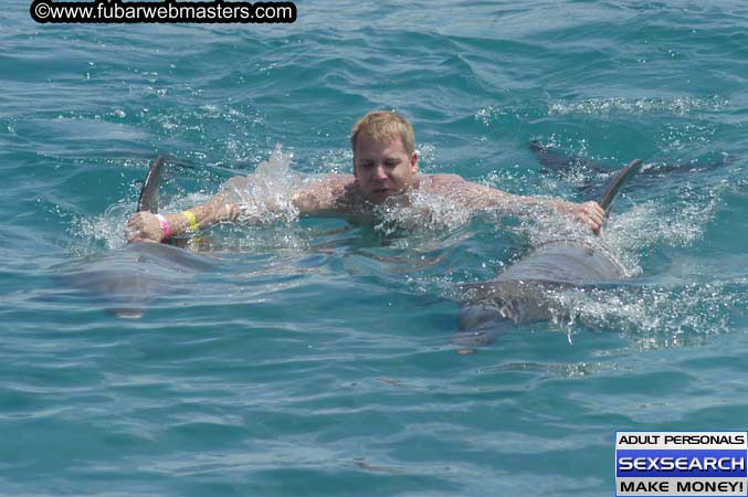 Local Billing Dolphin Encounter and Swim 2005