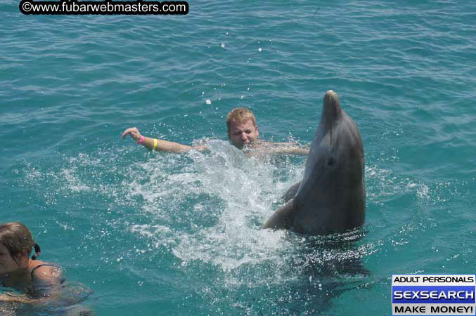 Local Billing Dolphin Encounter and Swim 2005