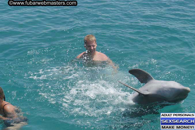 Local Billing Dolphin Encounter and Swim 2005