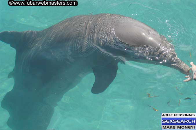 Local Billing Dolphin Encounter and Swim 2005