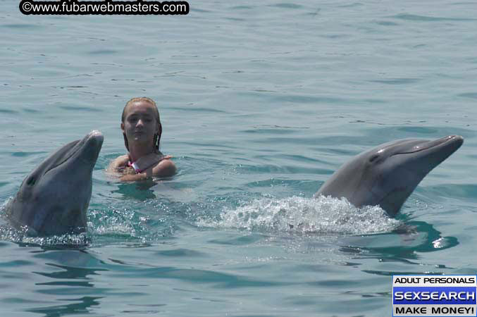 Local Billing Dolphin Encounter and Swim 2005