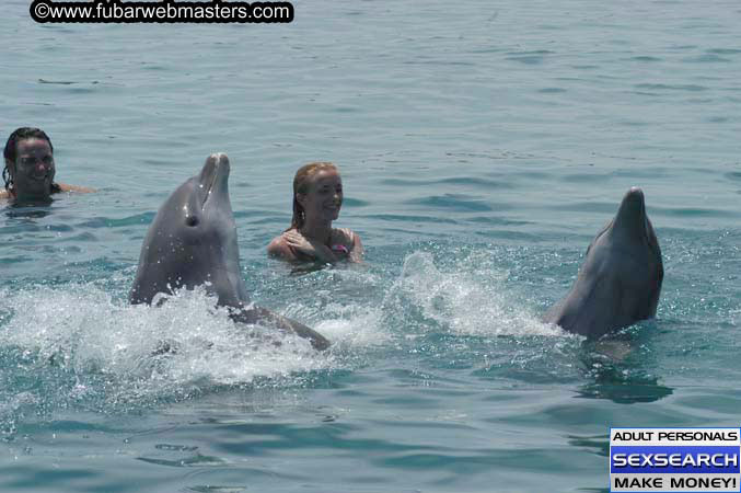 Local Billing Dolphin Encounter and Swim 2005